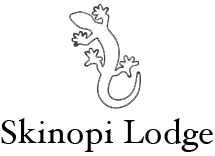 Speed boat operator for day cruises in Milos